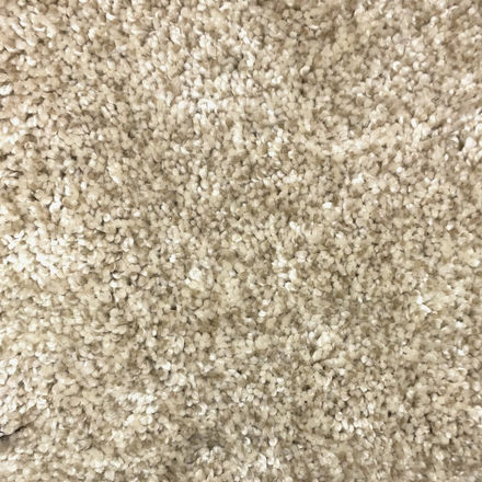 Soft Elegance 0020 12'  Carpet