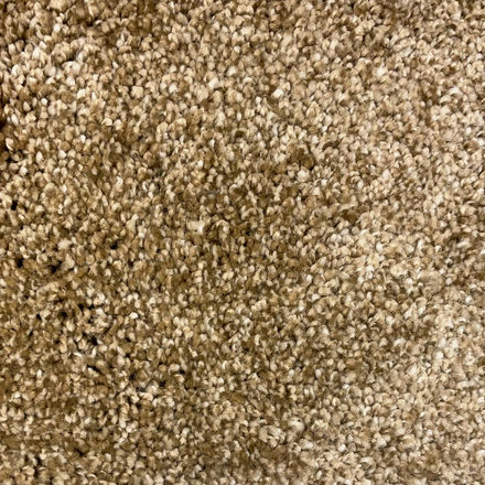 Soft Elegance 0023 12''  Carpet