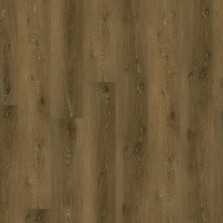 Sherbrooke Plus Burlap 7