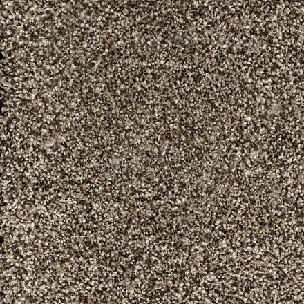 Phenomenal Saddle Brown 12'  Carpet