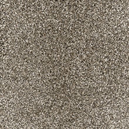 Phenomenal Virtual Taupe 12'  Carpet