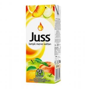 JUSS KARIŞIK MEYVE SUYU 200 ML