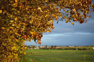 Vibrant autumn colors brighten the tranquil Scottish