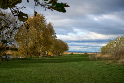 Tranquil countryside scene with vibrant greenery and a serene body of water under an expansive cloudy sky.