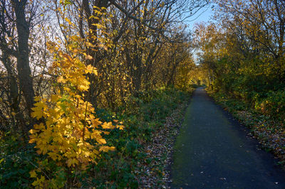 A peaceful walk through the colorful autumn landscapes of East Lothian, Scotland.