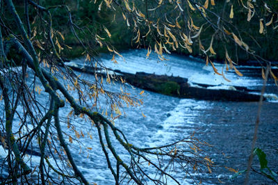 Serene autumn scene with vibrant leaves, tranquil river, and a cascading waterfall in East Lothian, Scotland.