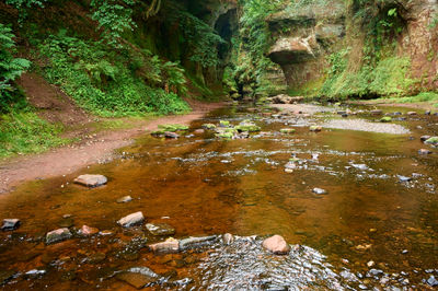 Devil’s Pulpit, Finnich Glen - a beautiful moss covered gorge in Scotland. Surrounded by towering trees, the river creates a sense of serenity and natural beauty.