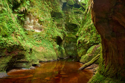 Devil’s Pulpit, Finnich Glen - a beautiful moss covered gorge in Scotland. The rocky walls of the canyon rise high into the sky, creating a dramatic and awe-inspiring landscape.