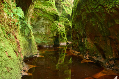 Devil’s Pulpit, Finnich Glen - a beautiful moss covered gorge in Scotland. Moss-covered rocks emerge from the flowing water, creating a natural formation that adds to the canyon's allure.