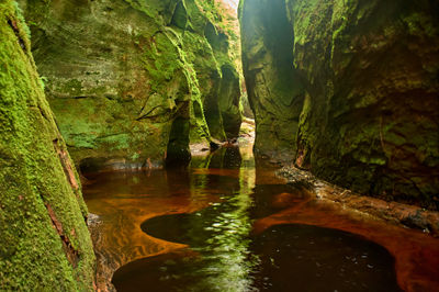 In a hidden and serene meandering canyon, a narrow passage reveals an enchanting sight. Mossy water flows gently through the ancient limestone. Devil’s Pulpit, Finnich Glen