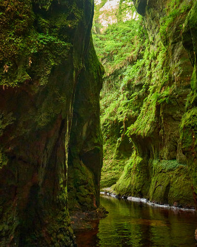Devil’s Pulpit, Finnich Glen - a beautiful moss covered gorge in Scotland. Rocks, water, vegetation...