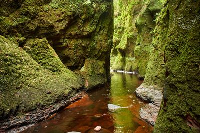 Devil’s Pulpit, Finnich Glen - a beautiful moss covered gorge in Scotland. A red river streams between green rocks