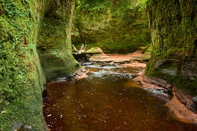 Devil’s Pulpit, Finnich Glen - a beautiful moss covered gorge in Scotland. Green walls look into the red stream