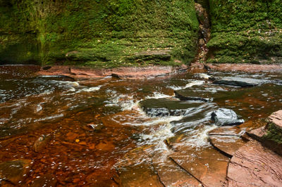 A serene stream flows between moss-covered cliffs, creating a tranquil setting with lush greenery and vibrant shades of green.