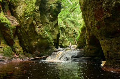 Devil’s Pulpit, Finnich Glen - a beautiful moss covered gorge in Scotland. Amidst the forest, a moss-covered rock emerges, adding a touch of natural beauty to the surroundings.
