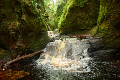 Devil’s Pulpit, Finnich Glen -  a beautiful moss covered gorge in Scotland. A small waterfall in the stream