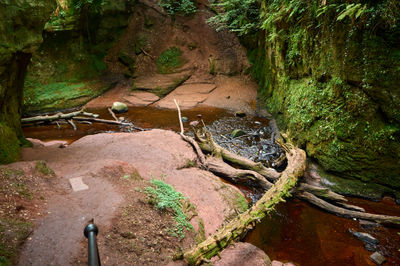 Devil’s Pulpit, Finnich Glen - a beautiful moss covered gorge in Scotland. The tranquil scene depicts a meandering stream flowing through a rocky area adorned with vibrant green moss.
