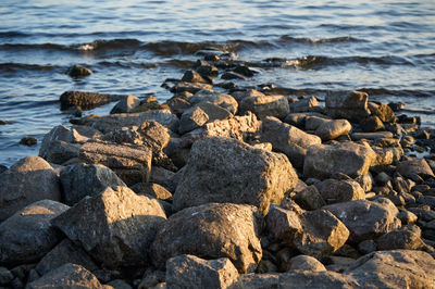 Tranquil shoreline with weathered rocks, a man finds solace while a bird surveys the serene waters, inviting contemplation of nature's beauty.