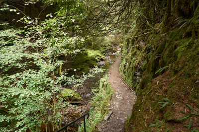 Puck's Glen, Cowal peninsula, Scotland. A footpath along a picturesque river