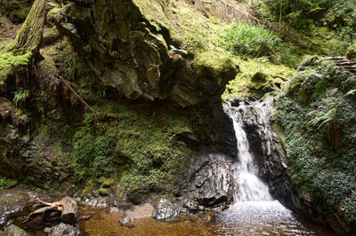 The centerpiece of the scene is the waterfall, which stands proud and majestic. Puck's Glen, Cowal peninsula, Scotland