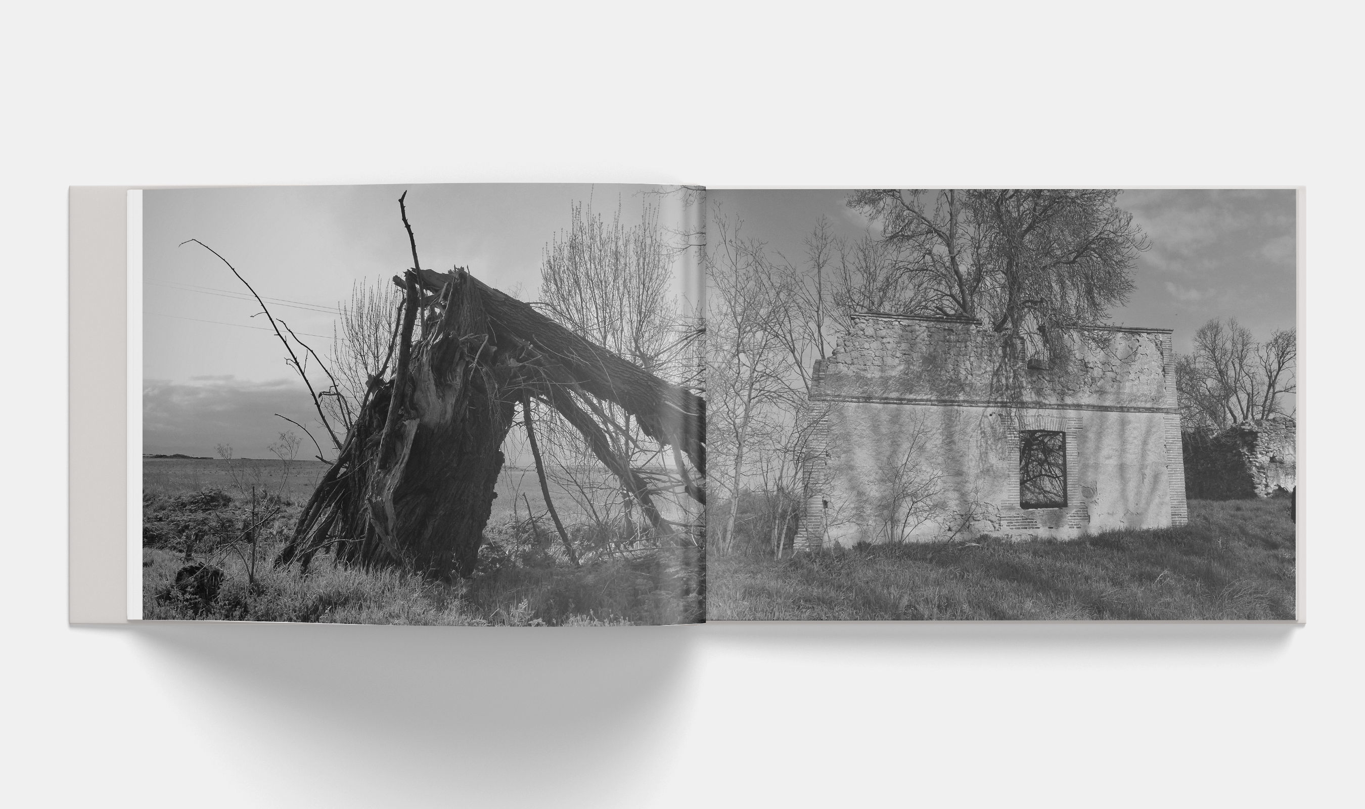 La Castilla Vacía — fotografía 3