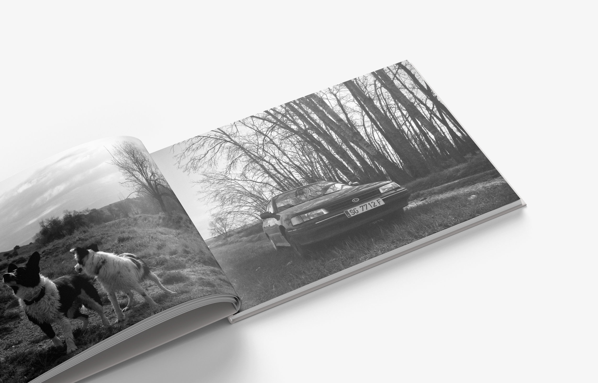 La Castilla Vacía — fotografía 4