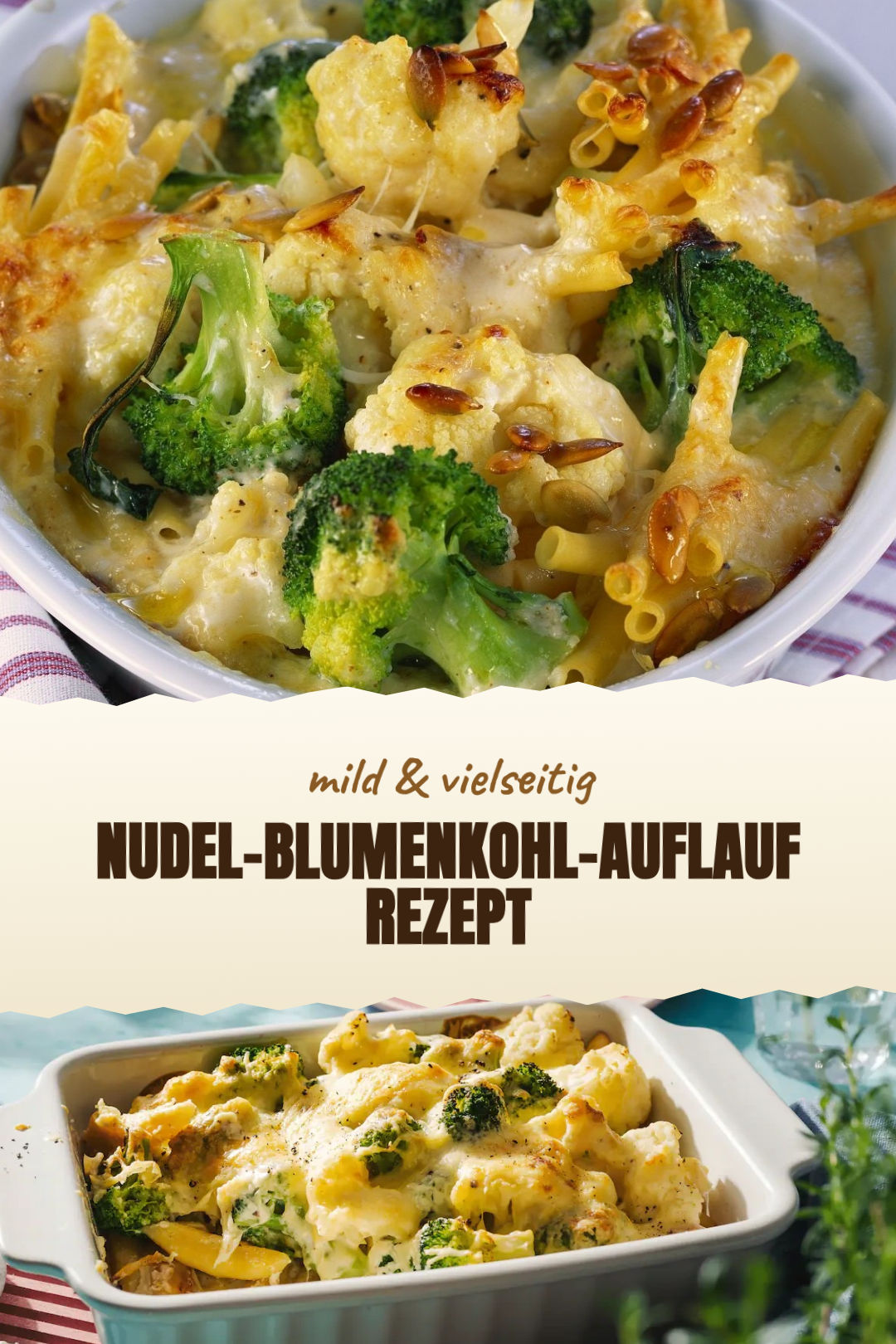 Cremiger Nudel-Blumenkohl-Auflauf mit Käsekruste, frisch zubereitet und serviert