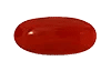 Red Coral (  लाल मूंगा  )