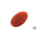 Red Coral 6.55 Carat (7.2 Ratti)