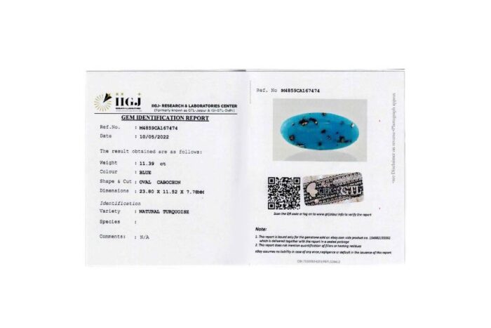 tr78-2 Turquoise (Firoza) 11.39 Carat (12.51 Ratti) - Image 6