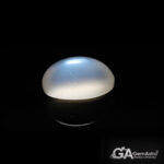 Moonstone 8.29 Carat (9.11 Ratti)
