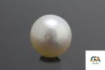 South Sea Pearl (Moti) 11.45Carat (12.59Ratti) - Image 3
