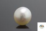 South Sea Pearl (Moti) 11.45Carat (12.59Ratti) - Image 4