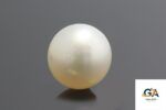 South Sea Pearl (Moti) 8.54Carat (9.39Ratti) - Image 2