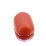 Red Coral 11.50 Carat (12.78 Ratti)