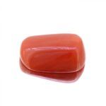 Red Coral 11.50 Carat (12.78 Ratti) - Image 2