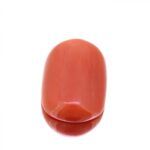 Red Coral 11.50 Carat (12.78 Ratti) - Image 3