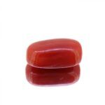 Red Coral 5.04 Carat (5.60 Ratti)