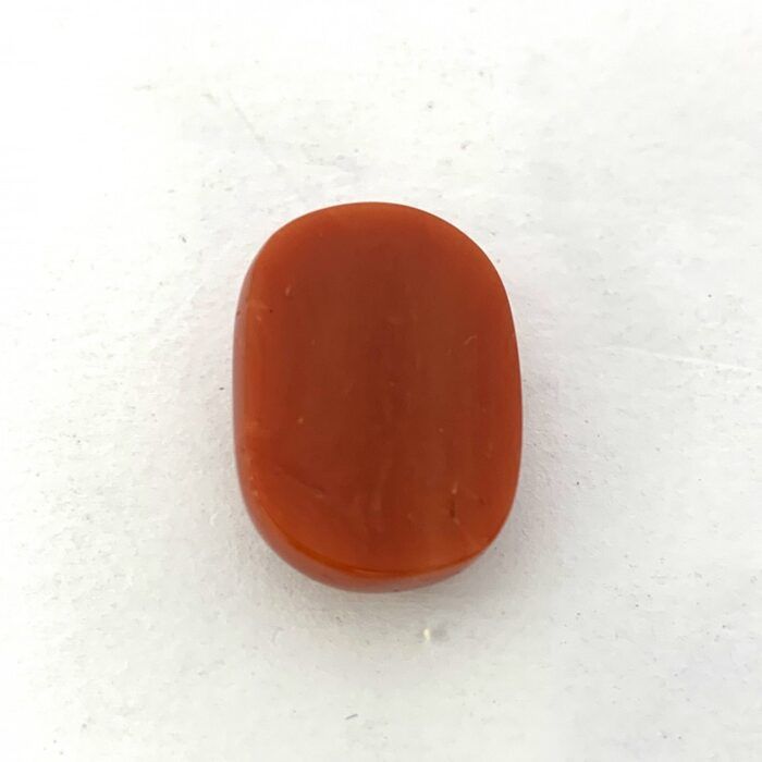 Red Coral 16.11 Carat (17.90 Ratti) - Image 3