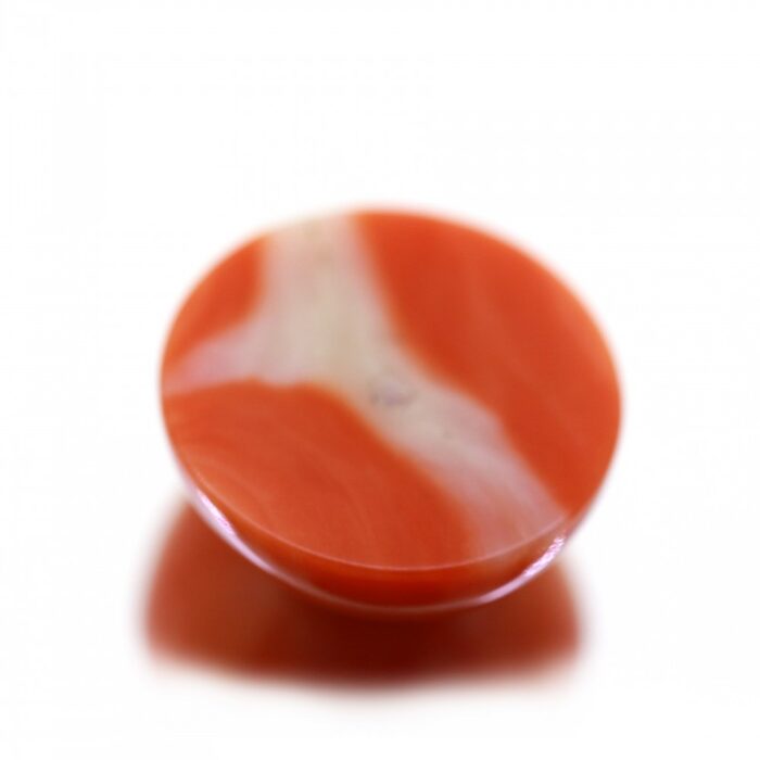 Natural Deshi Coral 6.54 Carat (7.27 Ratti) - Image 4