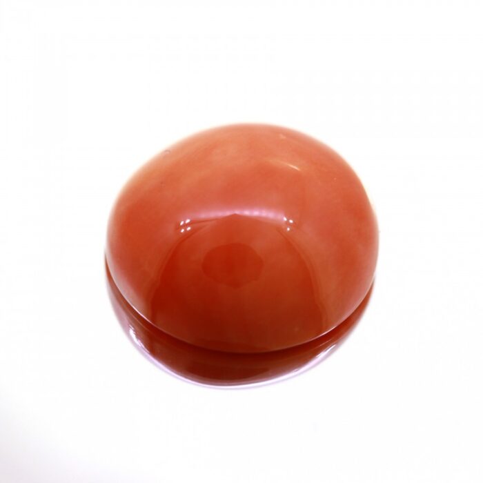 Natural Deshi Coral 6.54 Carat (7.27 Ratti) - Image 2