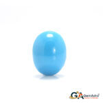 Turquoise (Firoza) 9.02 Carat (9.92 Ratti)