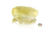 Yellow Sapphire 7.92 Carat (8.80 Ratti) - Image 4