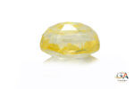 Yellow Sapphire 7.47 Carat (8.21 Ratti) - Image 4