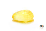 Yellow Sapphire 5.08 Carat (5.58 Ratti) - Image 4