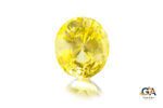 Yellow Sapphire 6.10 Carat (6.71 Ratti)