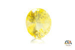 Yellow Sapphire 6.10 Carat (6.71 Ratti) - Image 3