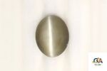 Cats Eye (Lehsuniya) 8.47 Carat (9.41 Ratti)