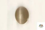Cats Eye (Lehsuniya) 1.84 Carat (2.04 Ratti) - Image 2