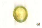 Cats Eye (Lehsuniya) 5.82 Carat (6.50 Ratti) - Image 3